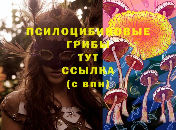 сатива Алексеевка
